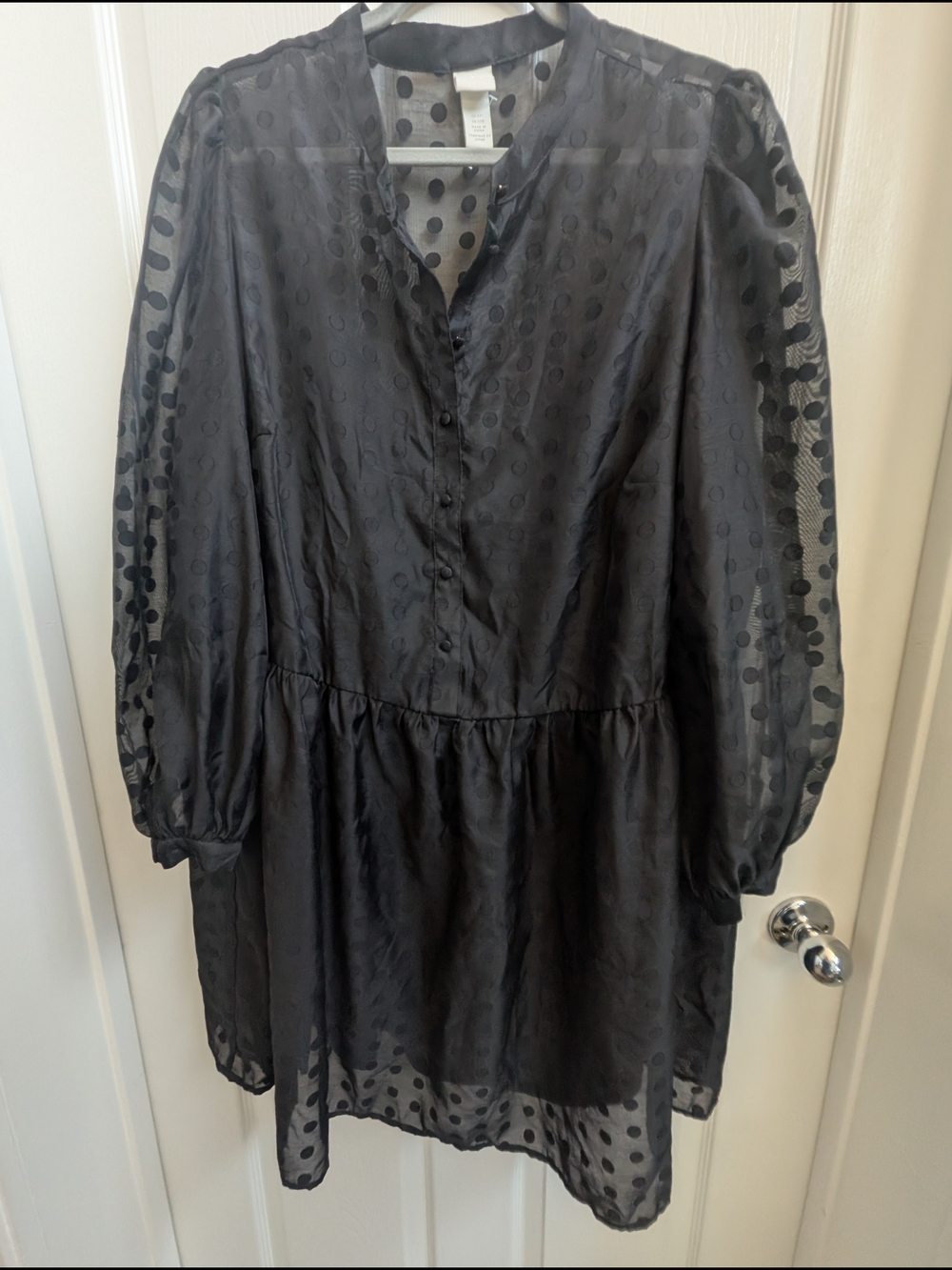 Black Swiss Dot Sheer Babydoll Dress | Long Sleeve Mini